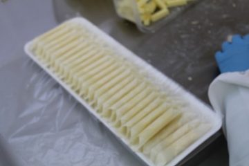 チーズ巻き完成形